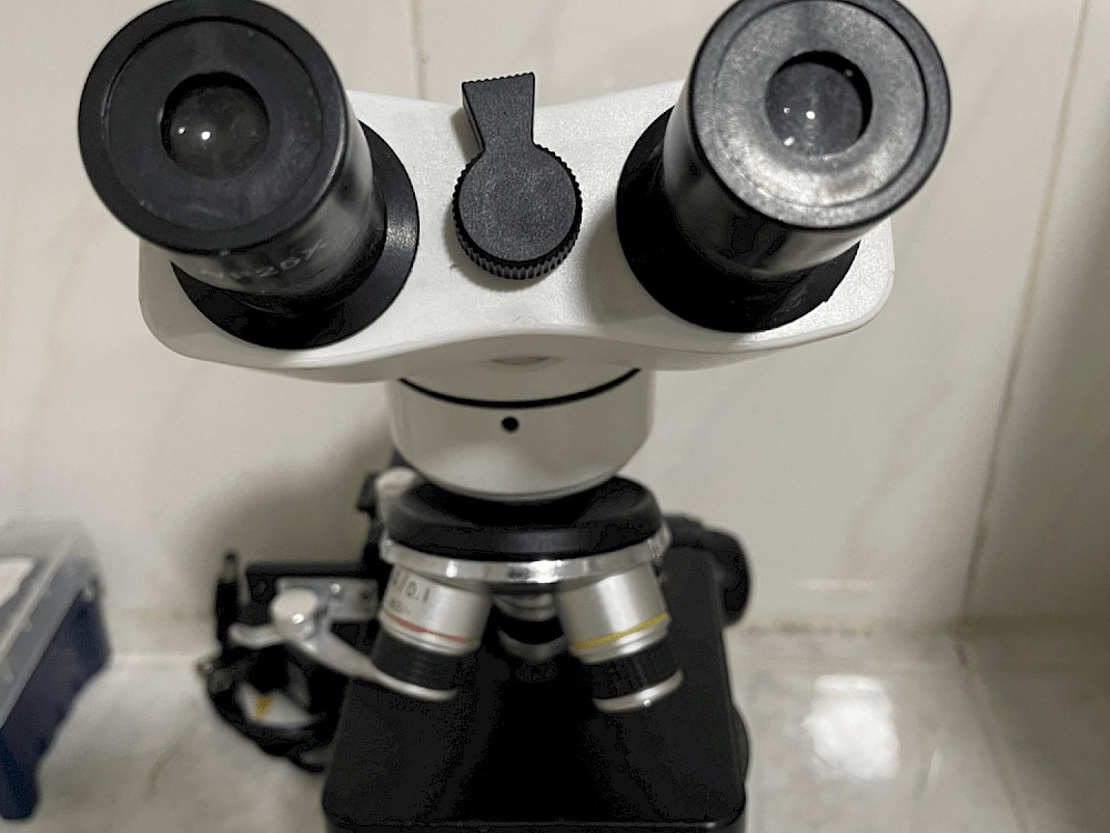 Microscopio binocular