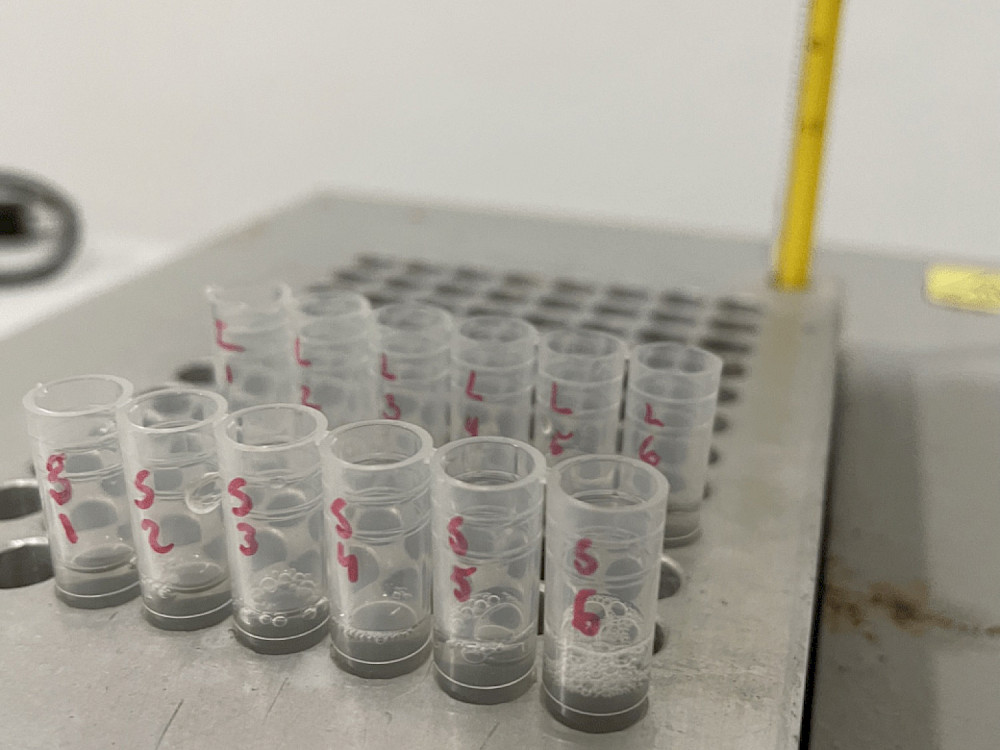 Tubos de muestra rotulados listos para incubar